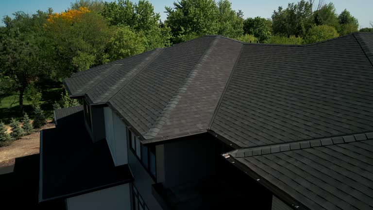 Best Roof Moss and Algae Removal  in Bassett, VA