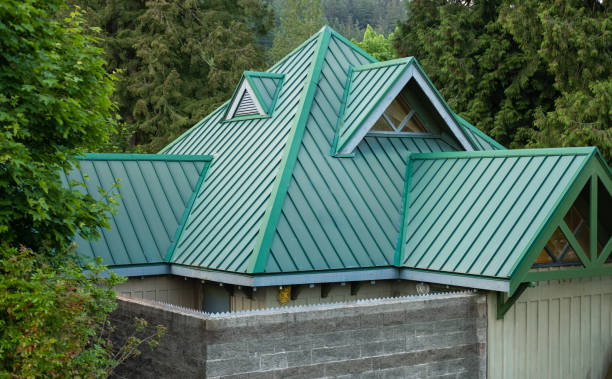 Best Chimney Flashing Repair  in Bassett, VA