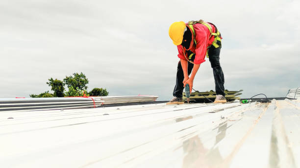 Best Asphalt Shingles Roofing  in Bassett, VA