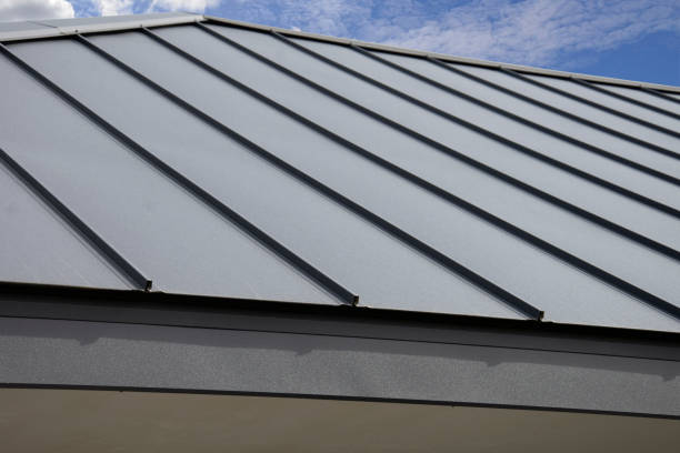 Best Roof Moss and Algae Removal  in Bassett, VA